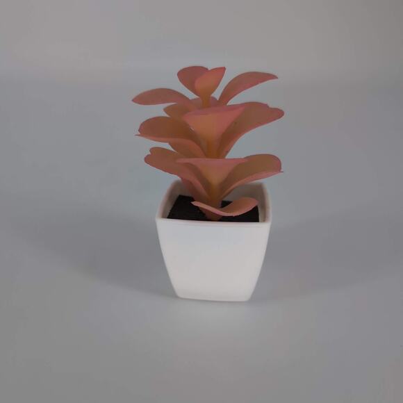 Mini Fake Faux Artificial Pink Succulent Potted Plant in Plastic White Pot - GUC - Picture 4 of 10